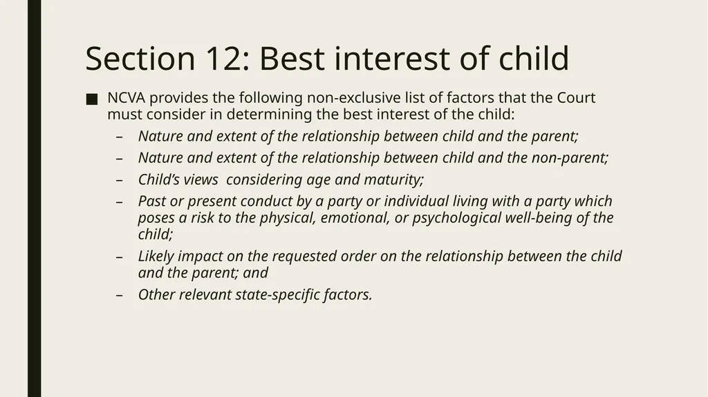 Constitutional and Practical Issues in Nonparent - slide 24 of 28