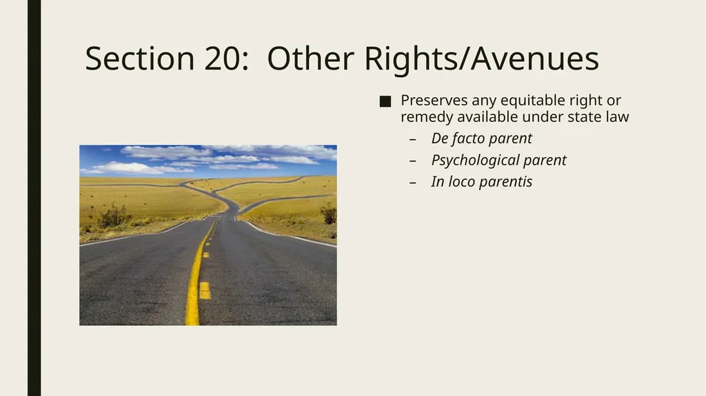 Constitutional and Practical Issues in Nonparent - slide 27 of 28