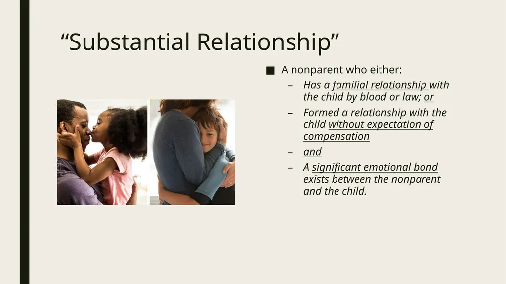 Constitutional and Practical Issues in Nonparent - slide 20 of 28