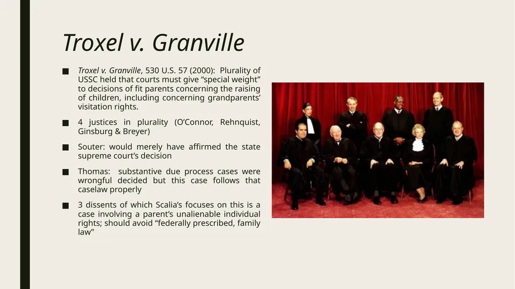 Constitutional and Practical Issues in Nonparent - slide 12 of 28