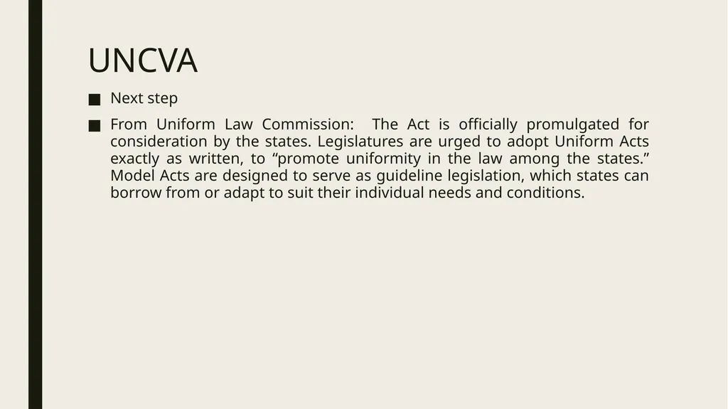 Constitutional and Practical Issues in Nonparent - slide 17 of 28