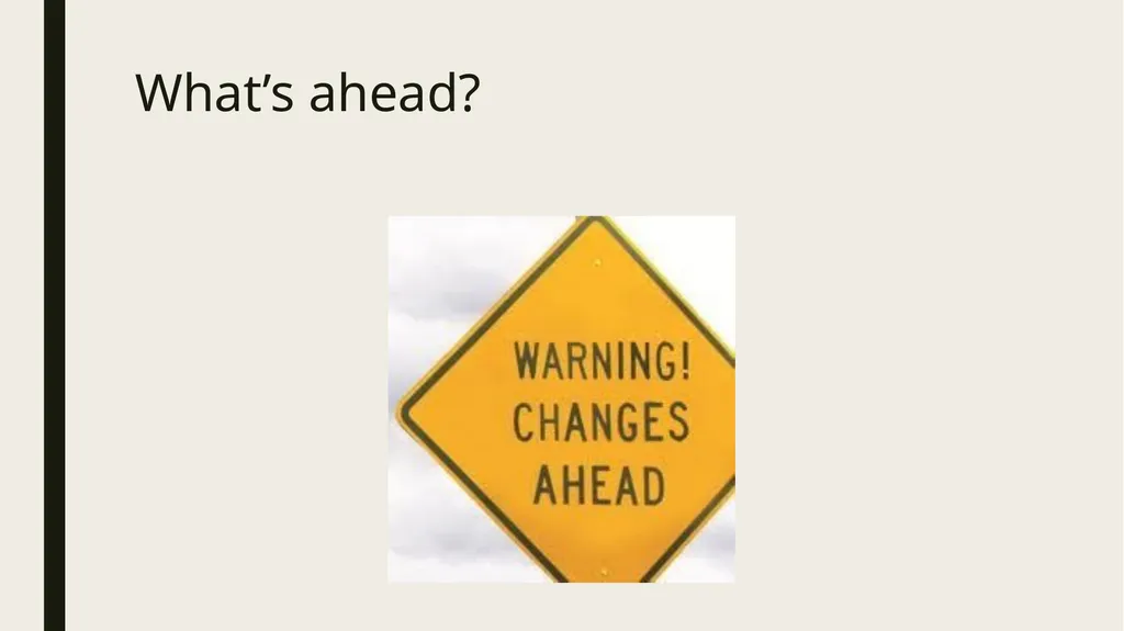 Constitutional and Practical Issues in Nonparent - slide 15 of 28