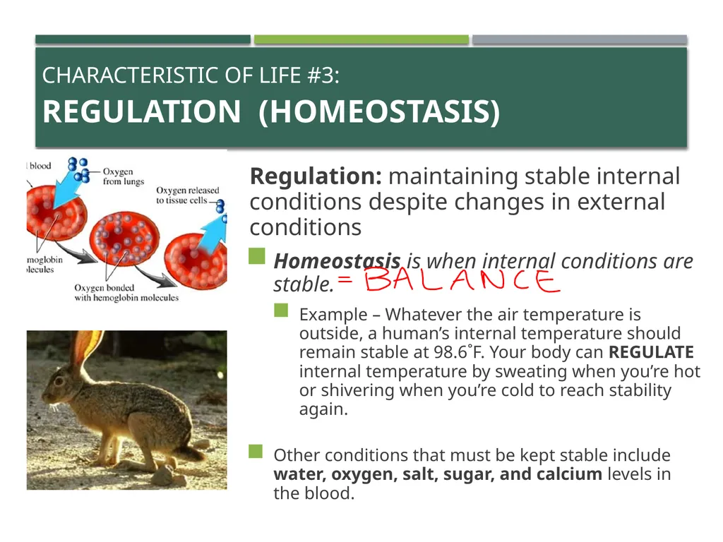 Characteristics of Life Pre-AP Biology: Unit 1 - slide 10 of 22