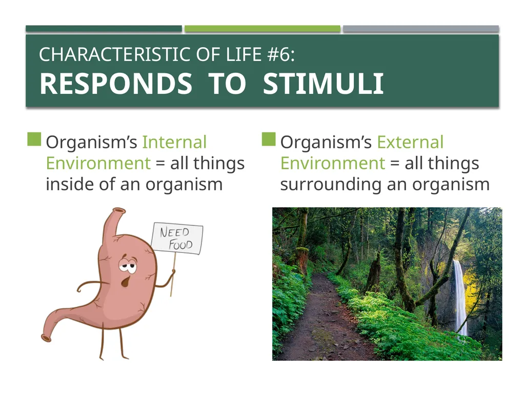 Characteristics of Life Pre-AP Biology: Unit 1 - slide 14 of 22