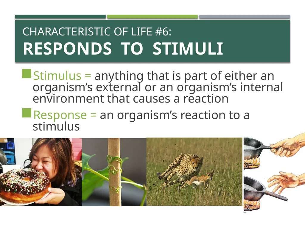 Characteristics of Life Pre-AP Biology: Unit 1 - slide 15 of 22