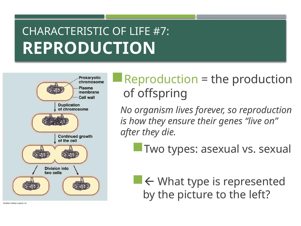 Characteristics of Life Pre-AP Biology: Unit 1 - slide 16 of 22