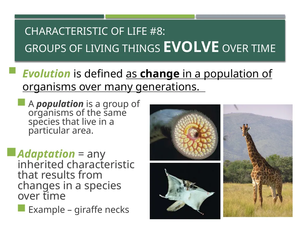 Characteristics of Life Pre-AP Biology: Unit 1 - slide 19 of 22