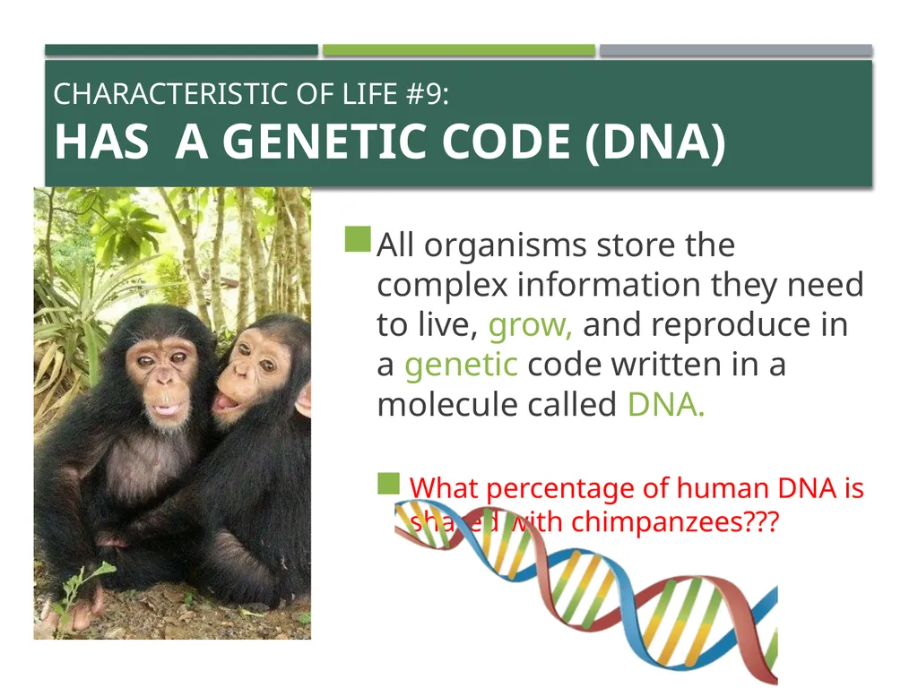 Characteristics of Life Pre-AP Biology: Unit 1 - slide 21 of 22