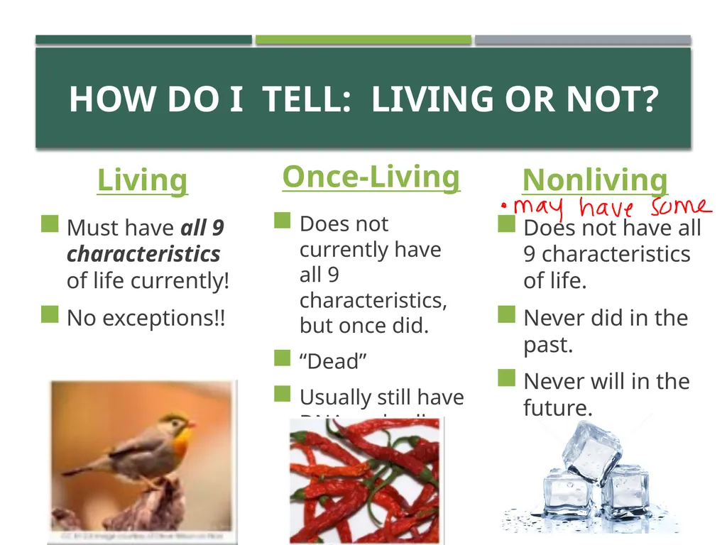 Characteristics of Life Pre-AP Biology: Unit 1 - slide 22 of 22