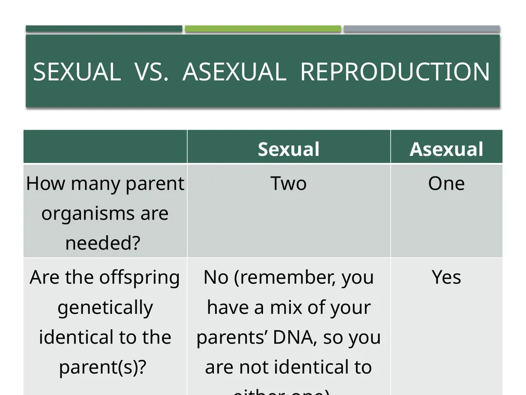 Characteristics of Life Pre-AP Biology: Unit 1 - slide 17 of 22