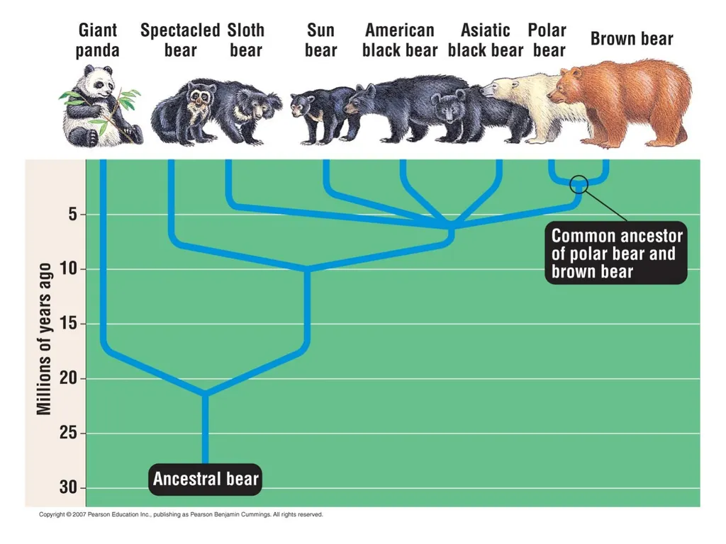 Characteristics of Life Pre-AP Biology: Unit 1 - slide 20 of 22