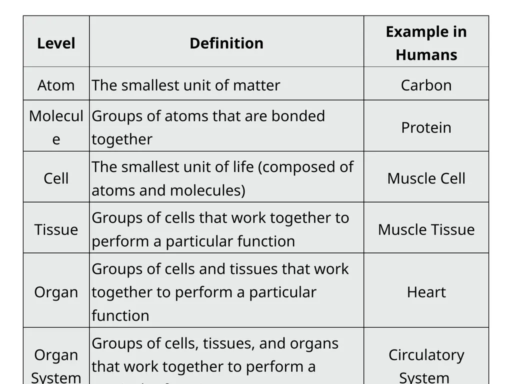 Characteristics of Life Pre-AP Biology: Unit 1 - slide 8 of 22