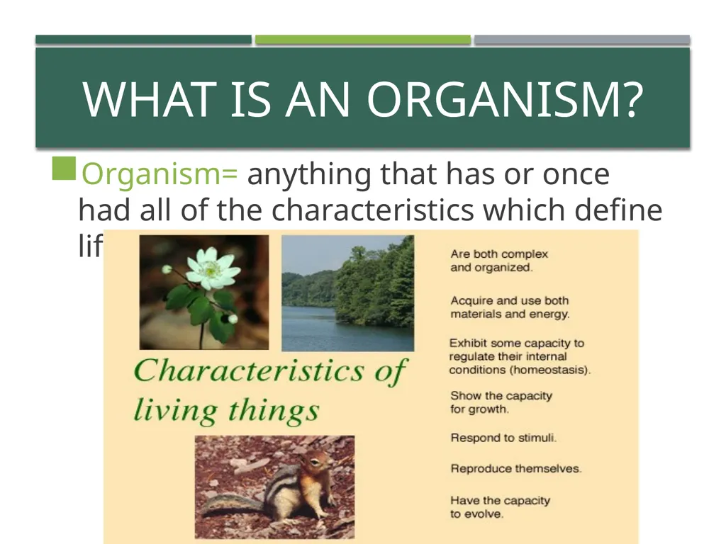 Characteristics of Life Pre-AP Biology: Unit 1 - slide 3 of 22