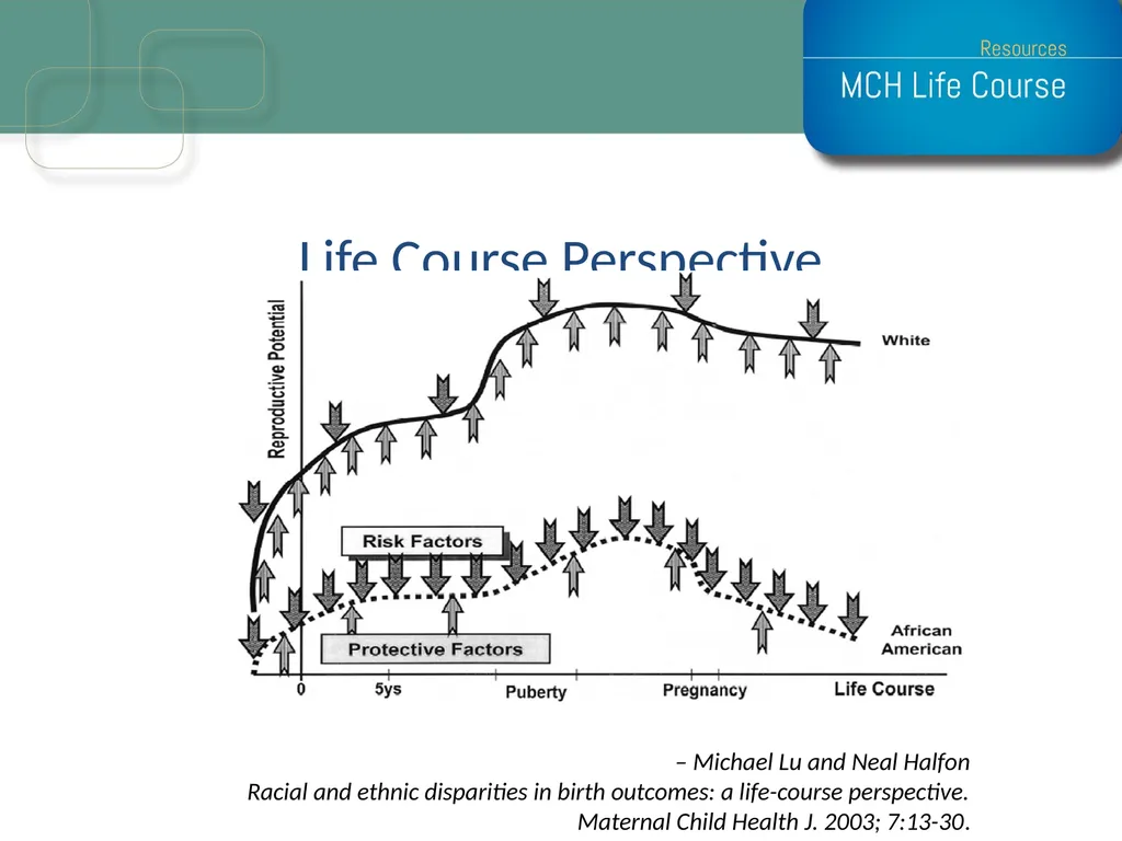 Life Course Model as an Organizational Framework - slide 11 of 25