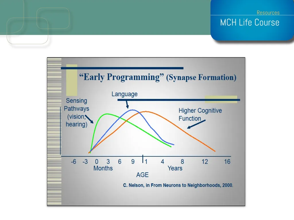 Life Course Model as an Organizational Framework - slide 14 of 25