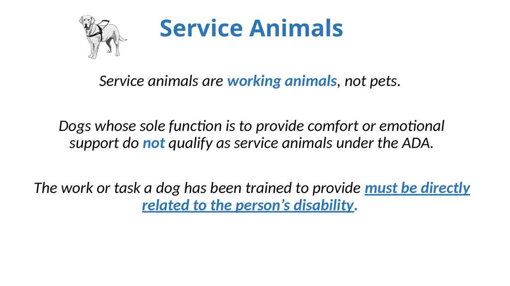 Service Animals, the Americans with Disabilities - slide 6 of 19