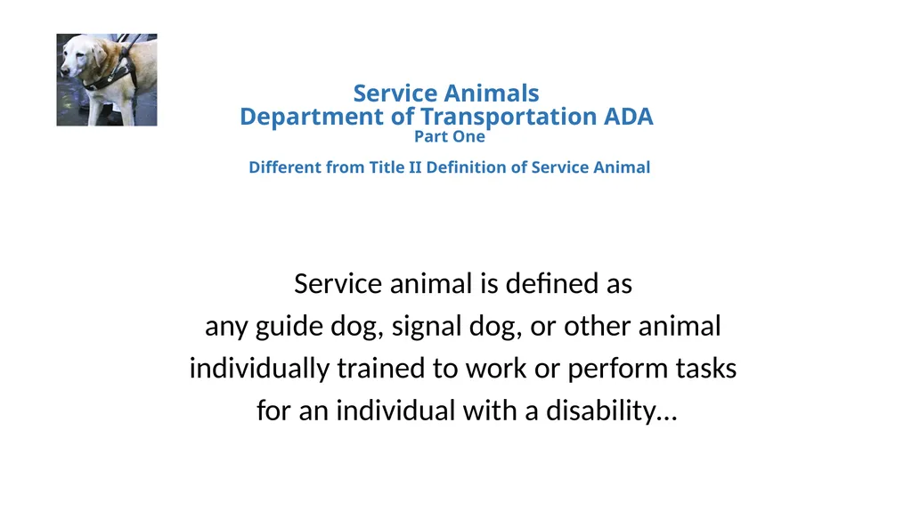 Service Animals, the Americans with Disabilities - slide 4 of 19