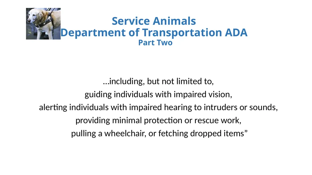 Service Animals, the Americans with Disabilities - slide 5 of 19