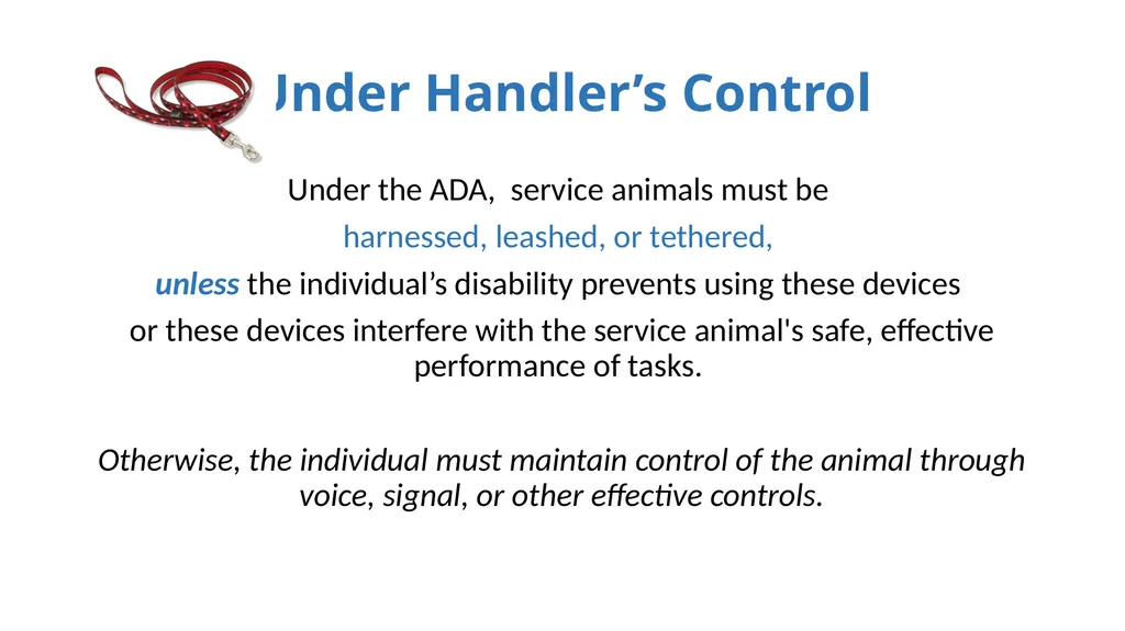 Service Animals, the Americans with Disabilities - slide 8 of 19