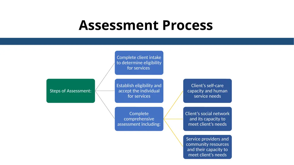 Essential Steps of the Case Management Process - slide 23 of 49
