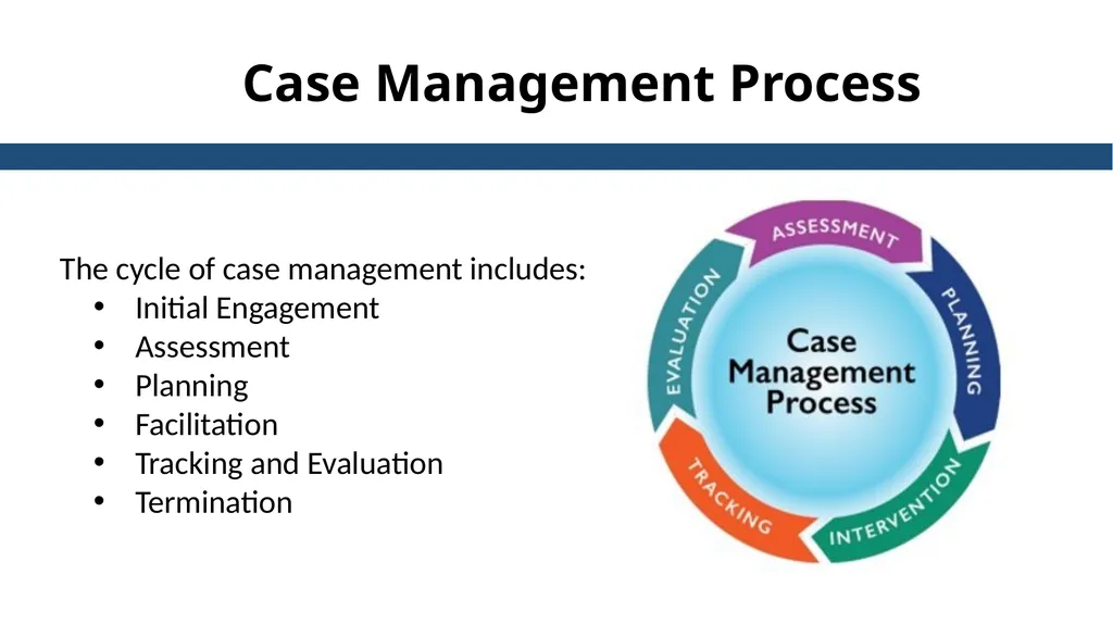 Essential Steps of the Case Management Process - slide 18 of 49