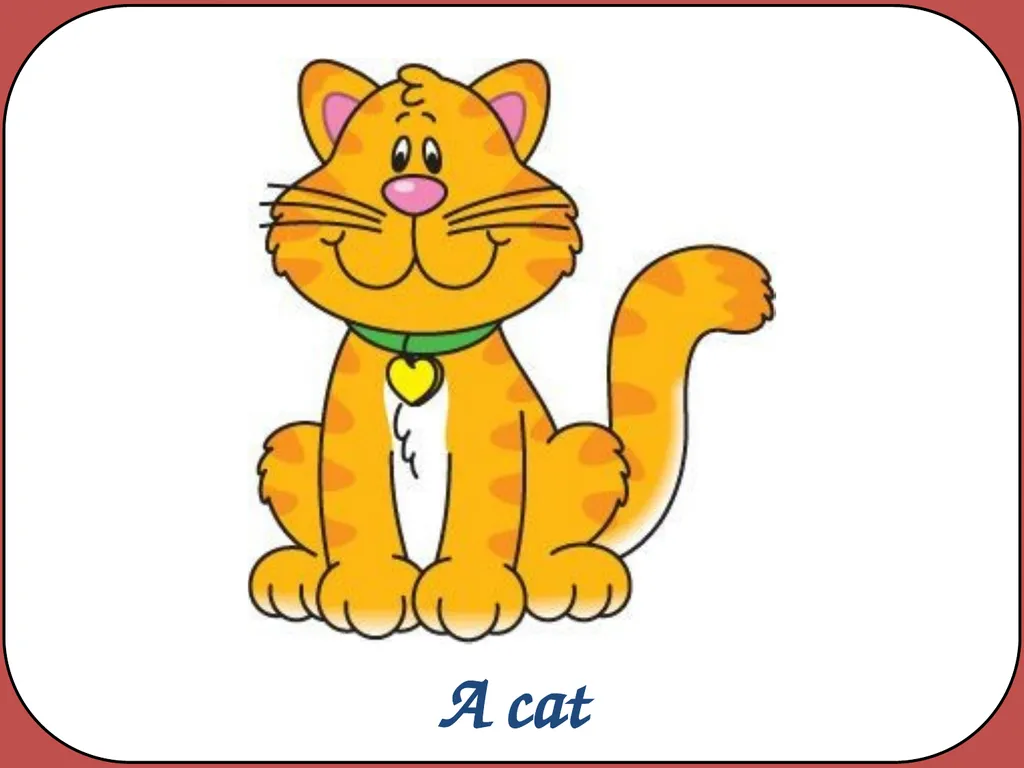 Noun phrases Using words to describe and specify - slide 9 of 13