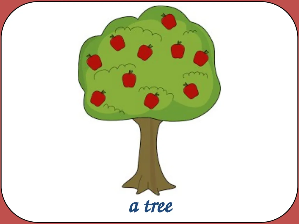 Noun phrases Using words to describe and specify - slide 5 of 13