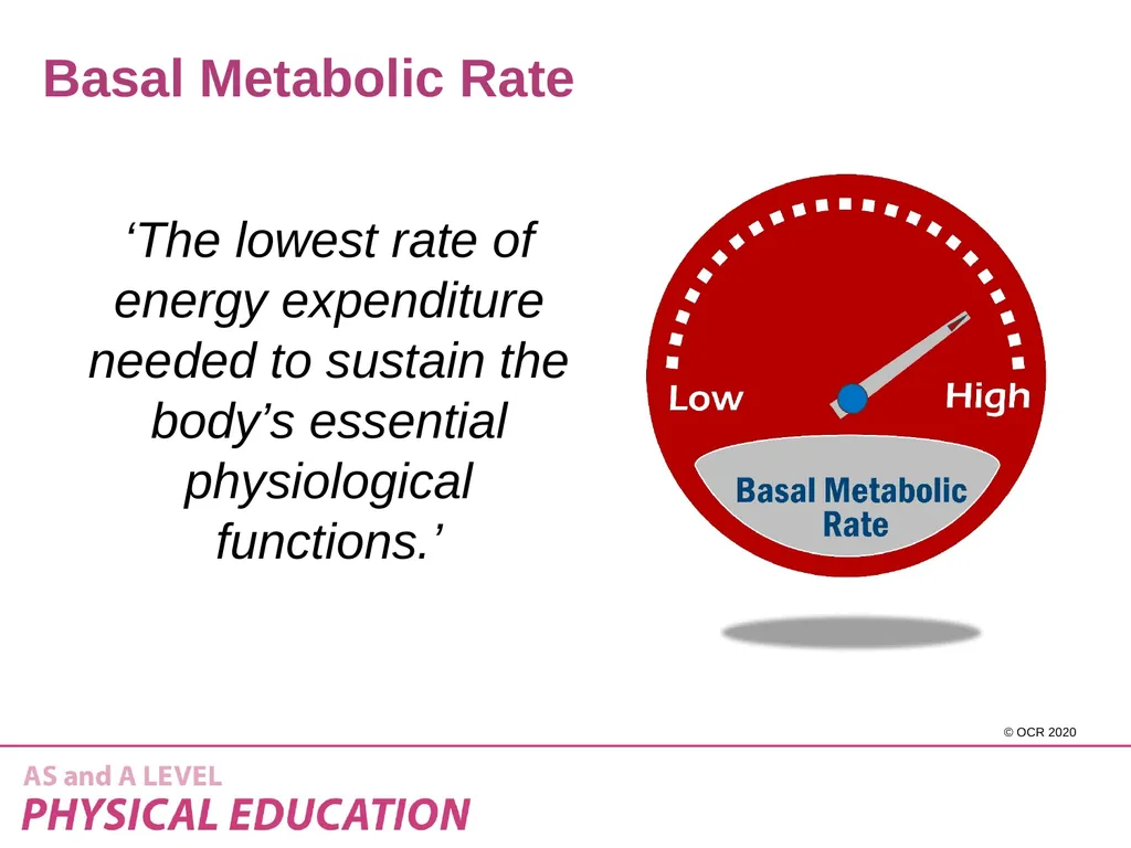 Component 1 - 1.2.a – Diet and nutrition and their - slide 19 of 37