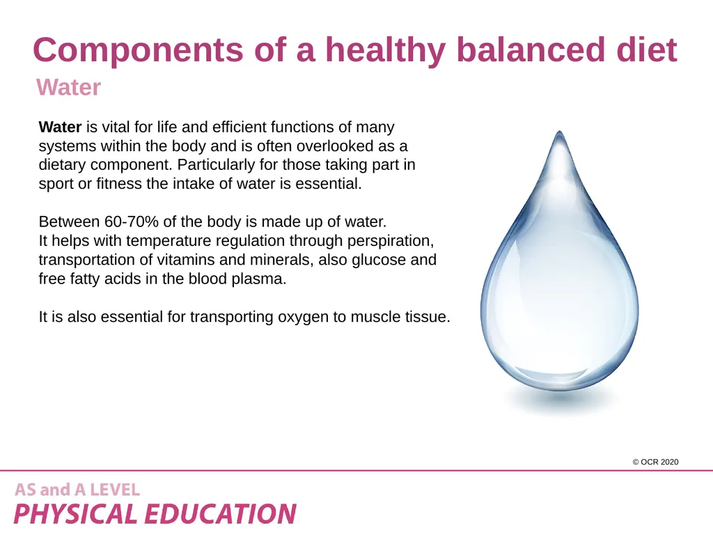 Component 1 - 1.2.a – Diet and nutrition and their - slide 15 of 37