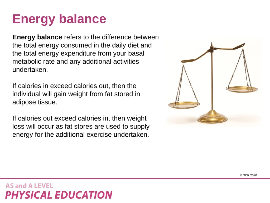 Component 1 - 1.2.a – Diet and nutrition and their - slide 24 of 37