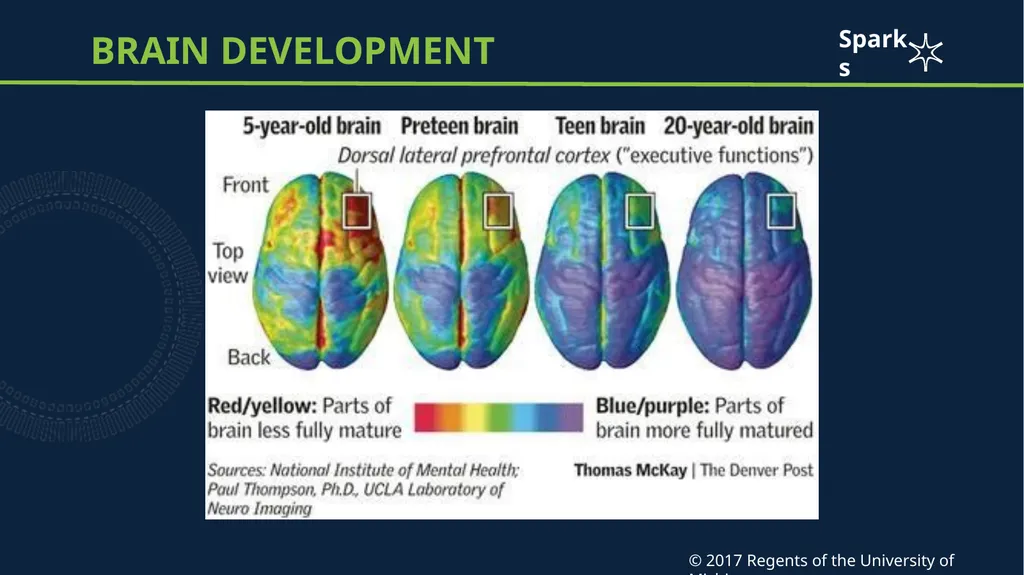 Adolescent brain development Case Scenario: Shayla - slide 7 of 12