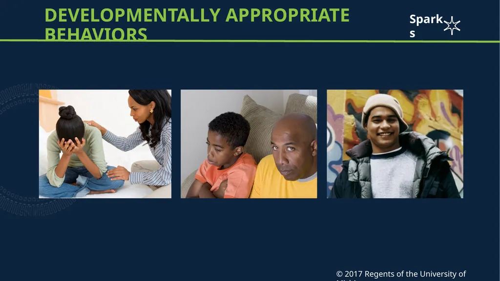 Adolescent brain development Case Scenario: Shayla - slide 8 of 12
