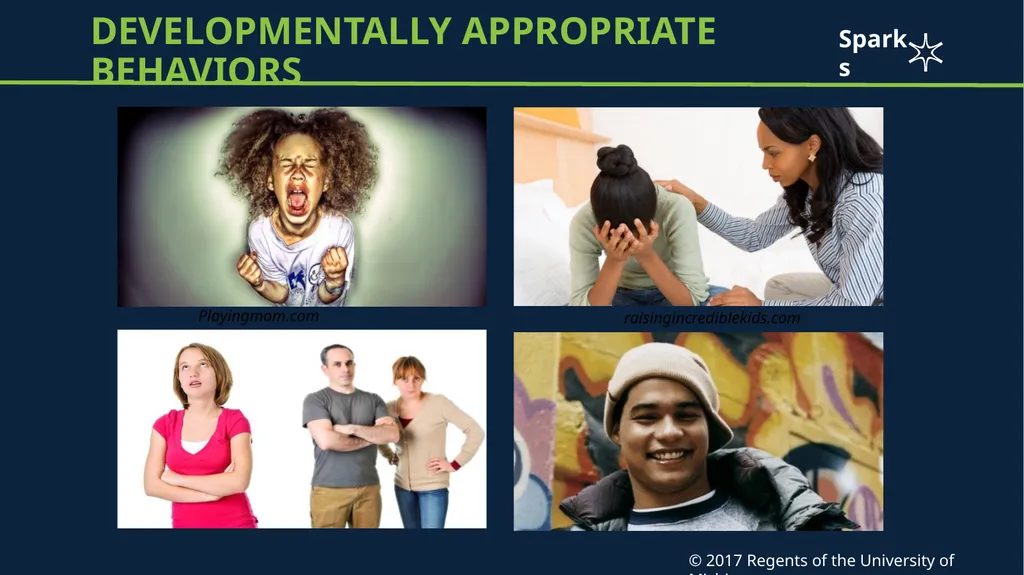 Adolescent brain development Case Scenario: Shayla - slide 9 of 12
