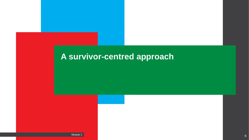 Caring for survivors: A principled approach 2 - slide 6 of 23