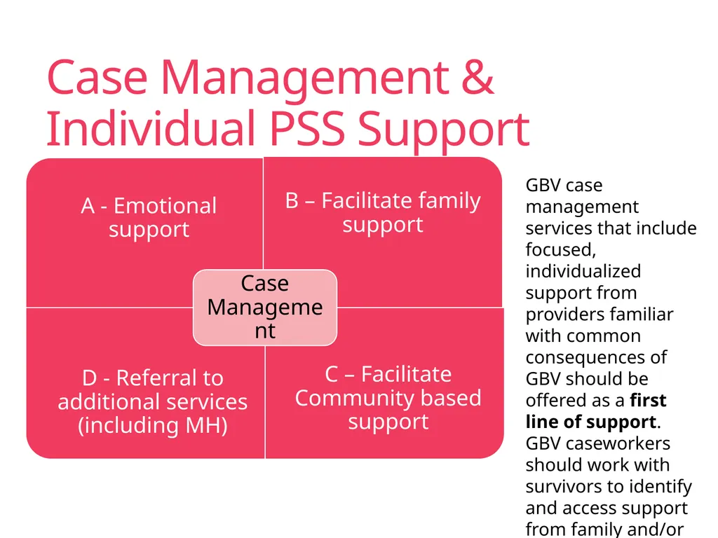 Case Management Managing Gender-Based Violence - slide 18 of 73