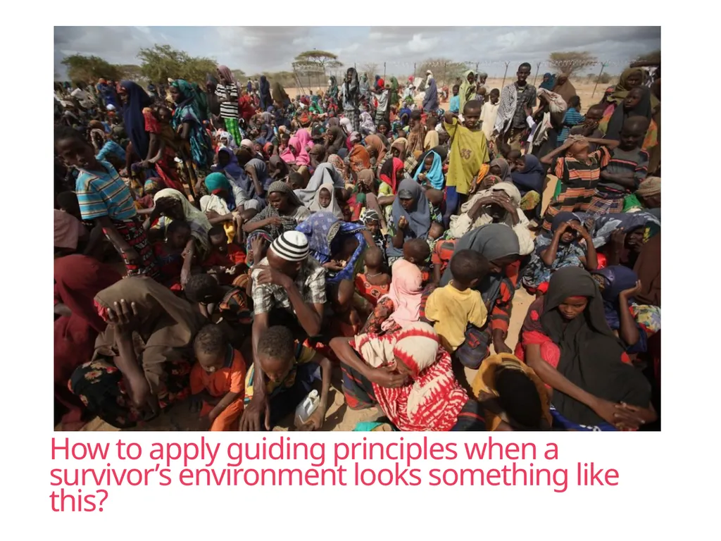 Case Management Managing Gender-Based Violence - slide 63 of 73