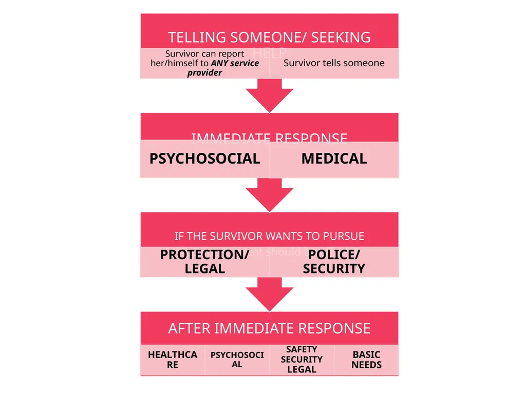 Case Management Managing Gender-Based Violence - slide 58 of 73