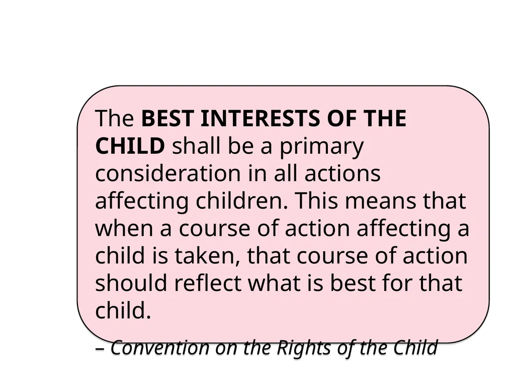 Case Management Managing Gender-Based Violence - slide 45 of 73