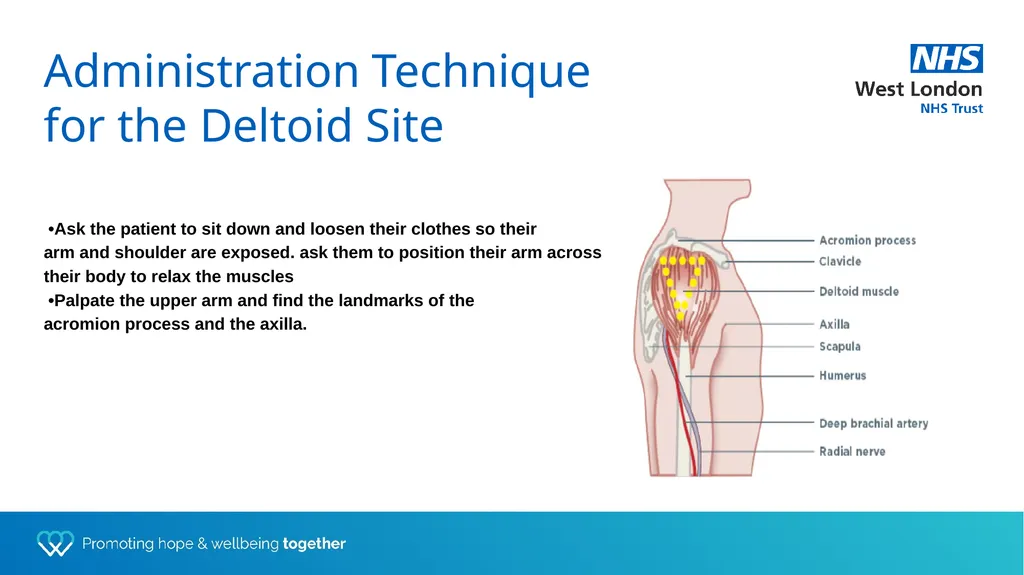 Depot training for Practice Nurses Presented by - slide 13 of 44