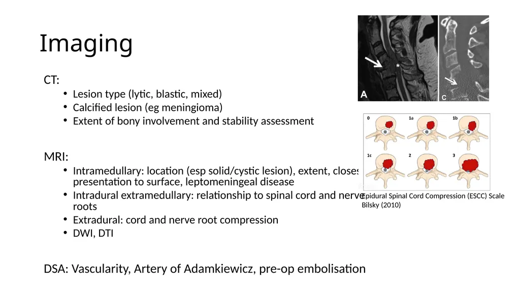 Preparation for spinal tumour - slide 4 of 19