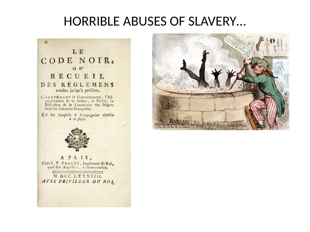 The Haitian Revolution What factors caused the - slide 5 of 15
