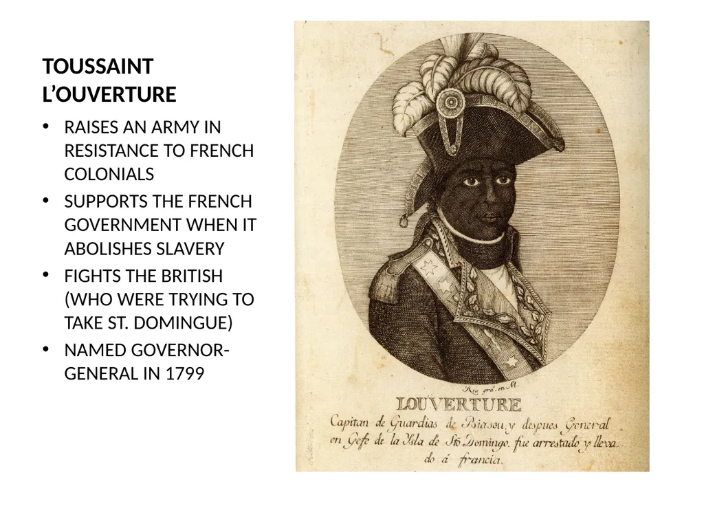 The Haitian Revolution What factors caused the - slide 12 of 15