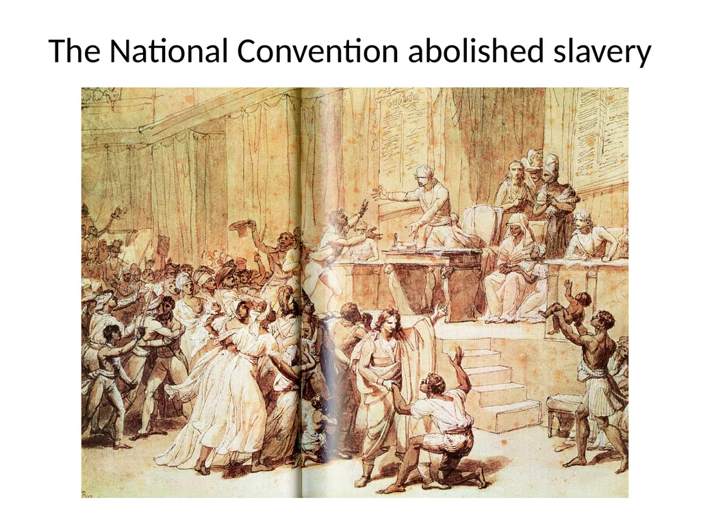 The Haitian Revolution What factors caused the - slide 11 of 15