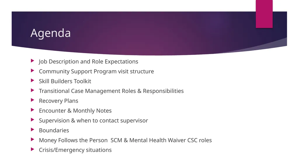 Community Support Person (CSP) Training CT Mental - slide 2 of 30