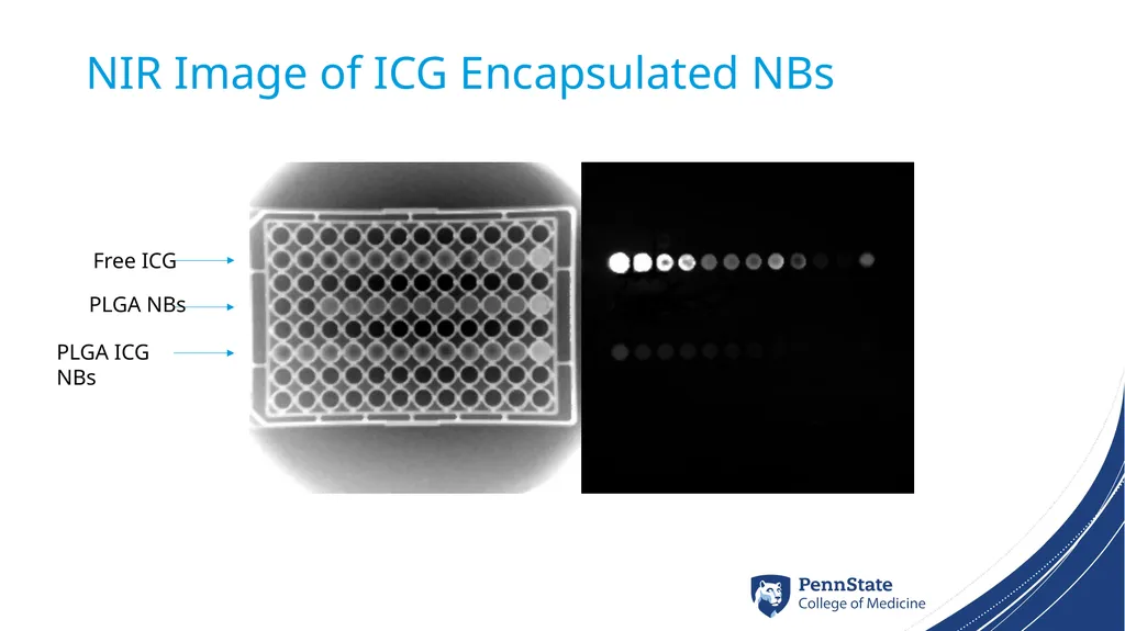 Targeted ICG-Nanobubbles for Detection of - slide 11 of 13