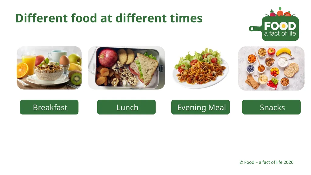Shopping Different places you can buy food - slide 11 of 26