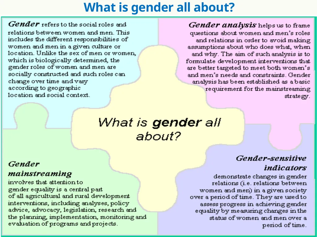 INTRODUCTION to GENDER STUDIES GENDER, GENDER - slide 20 of 21