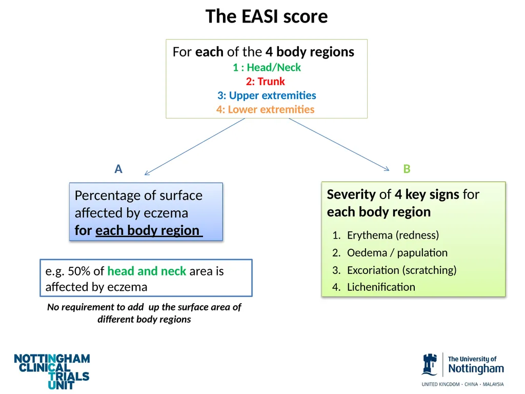 Introduction to assessing the severity of eczema - slide 29 of 40