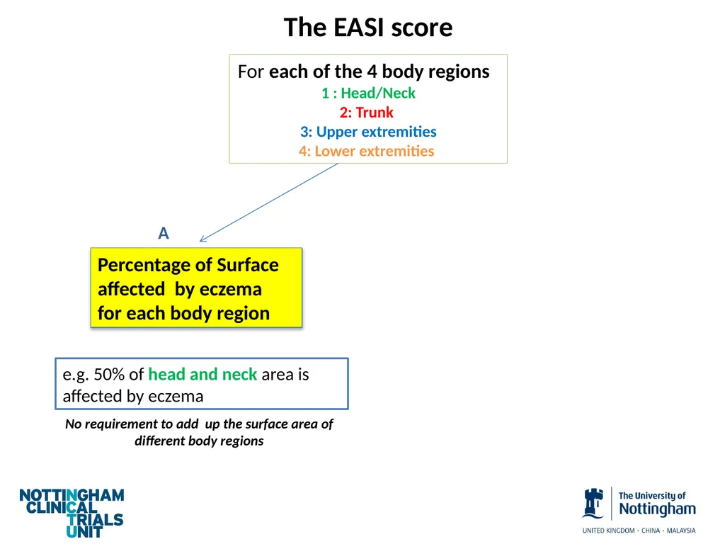 Introduction to assessing the severity of eczema - slide 30 of 40