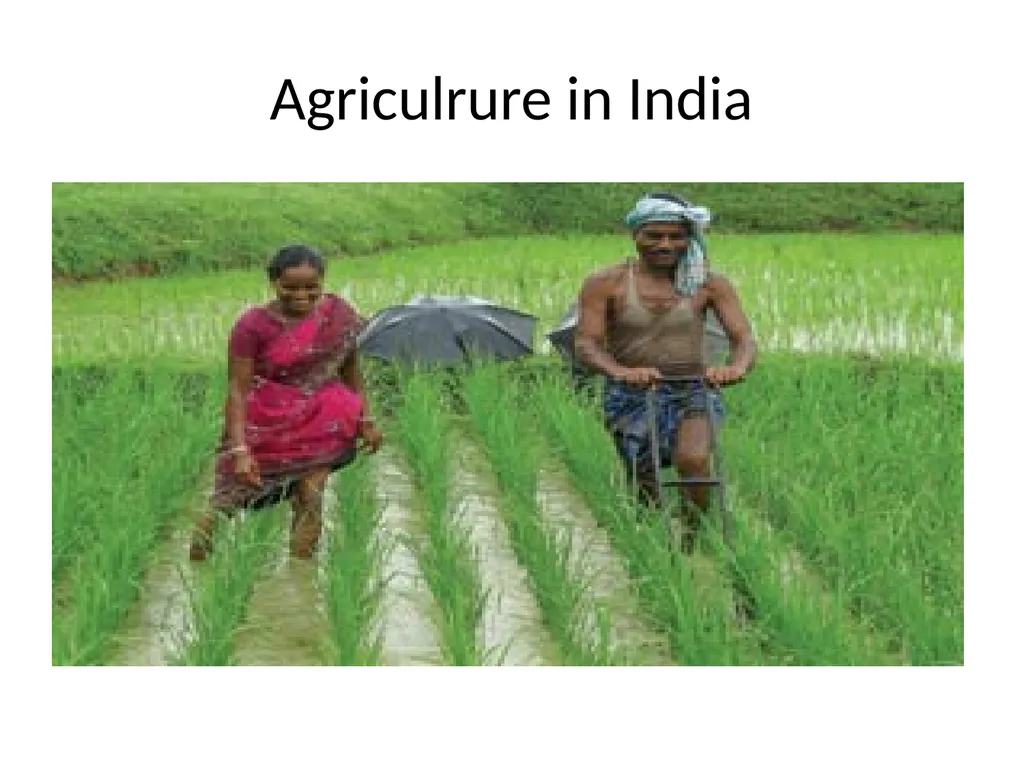 REGIONAL GEOGRAPHY Exam Topics Related to India - slide 14 of 34
